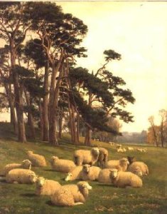 A Riverside Pasture with Sheep