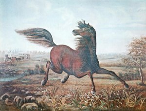 The Neigh of an Iron Horse