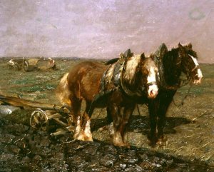 Ploughing